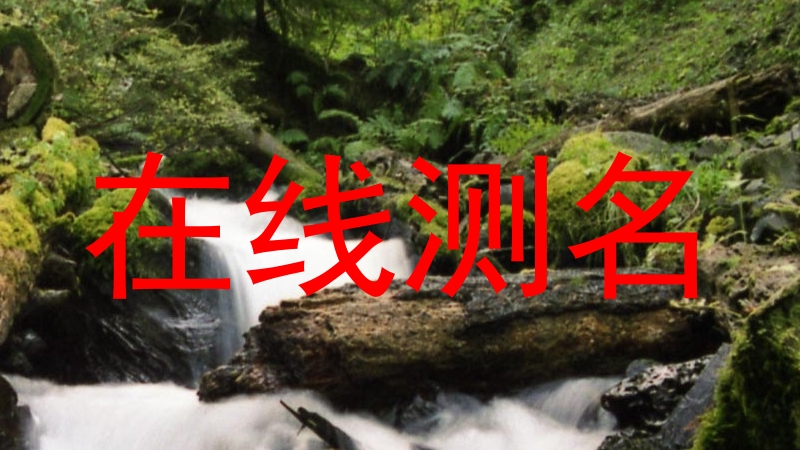 在线测名