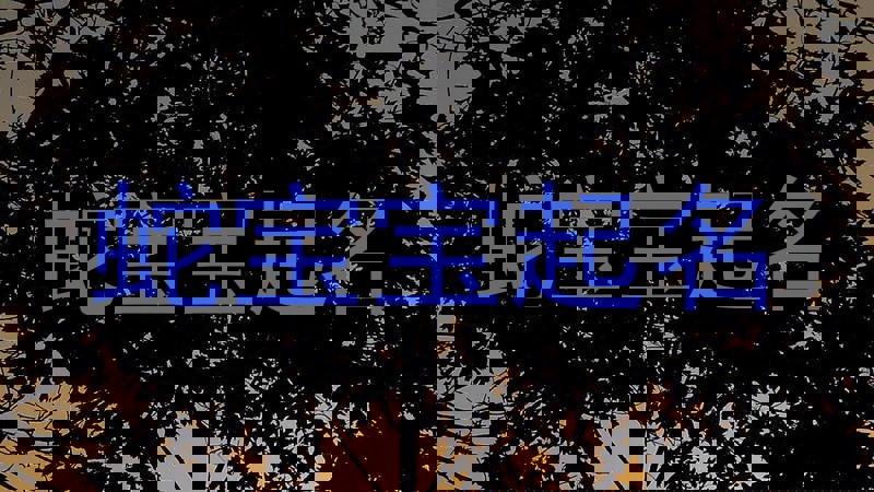 蛇宝宝起名