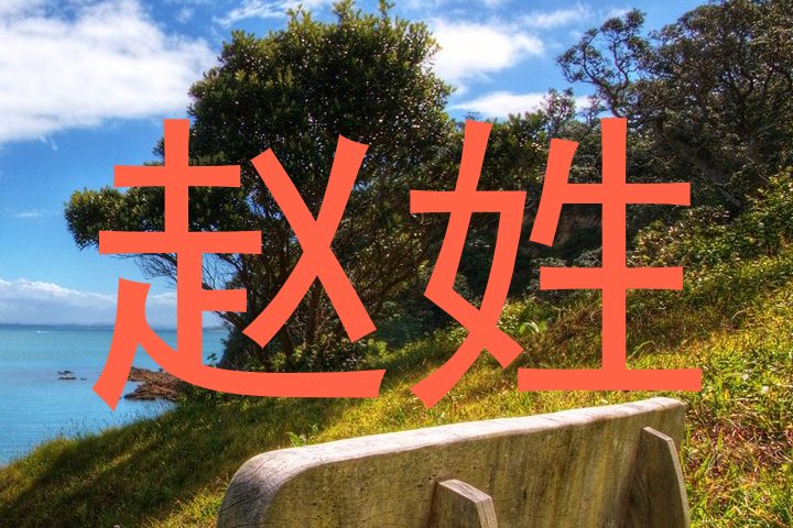 赵姓