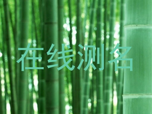 在线测名