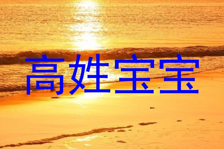 高姓宝宝