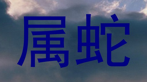 属蛇
