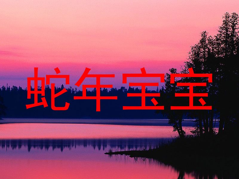 蛇年宝宝