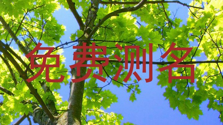 免费测名