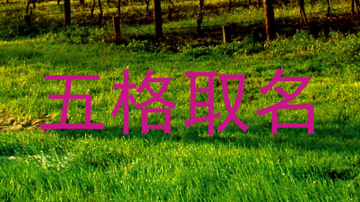 五格取名