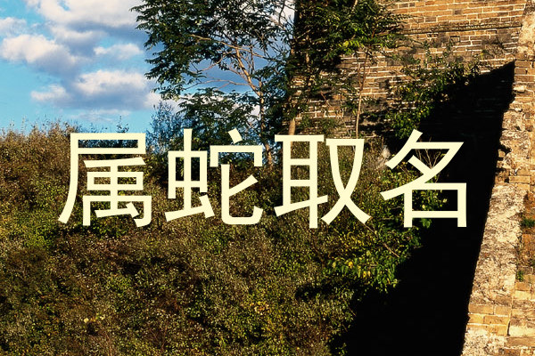 属蛇取名