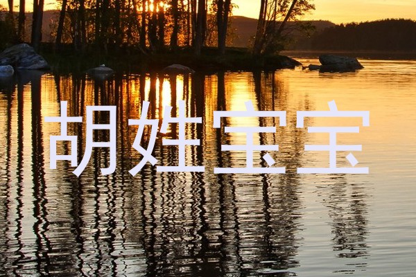 胡姓宝宝