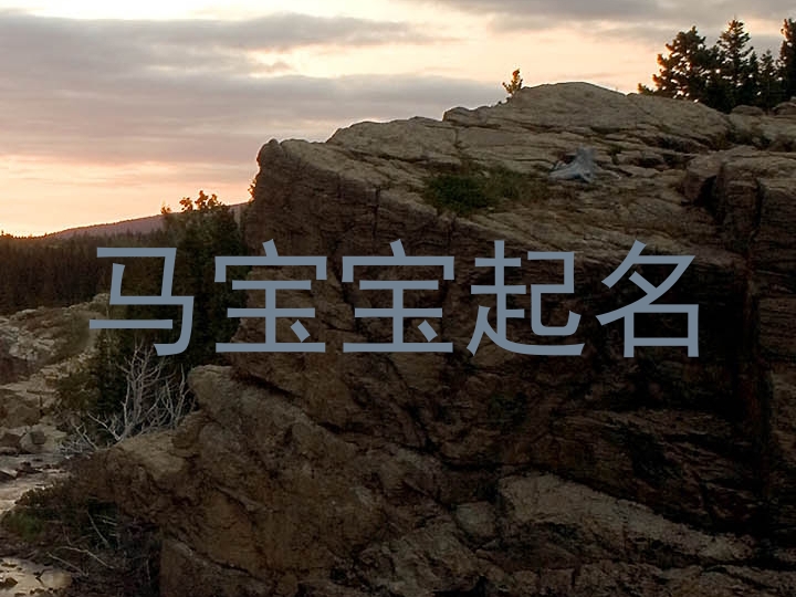 马宝宝起名
