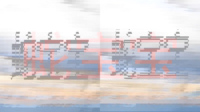 蛇宝宝