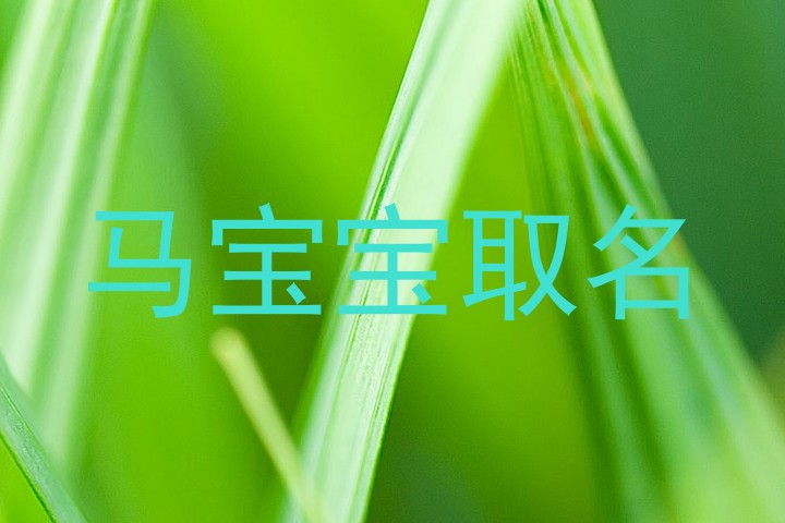 马宝宝取名