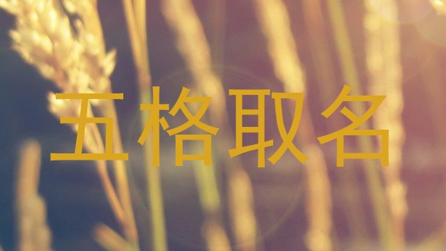 五格取名