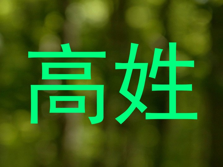 高姓