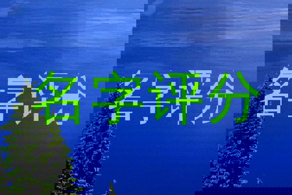 名字评分