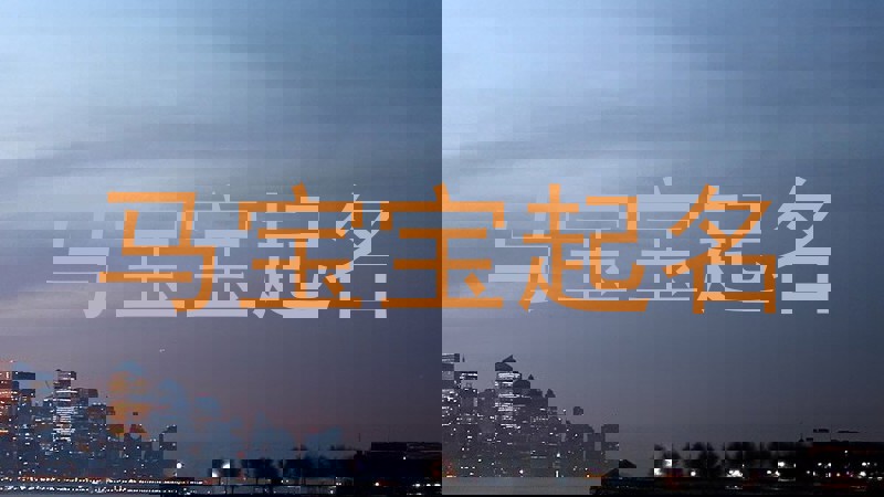 马宝宝起名