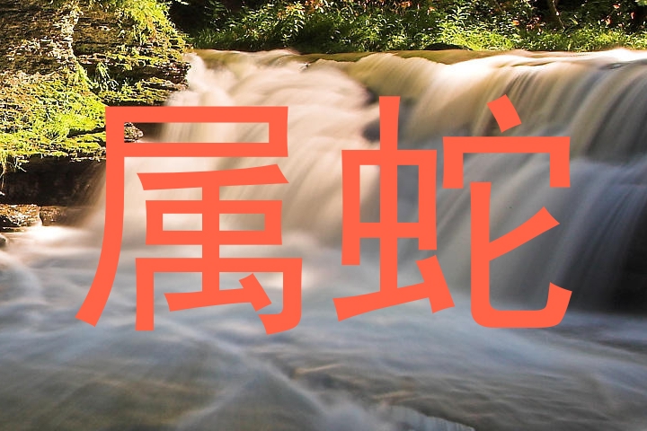 属蛇