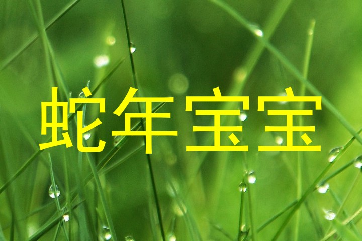 蛇年宝宝