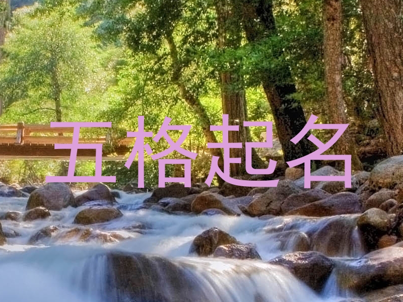 五格起名