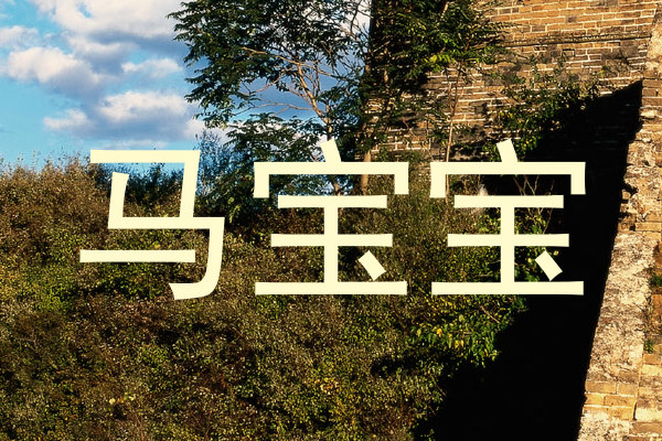 马宝宝