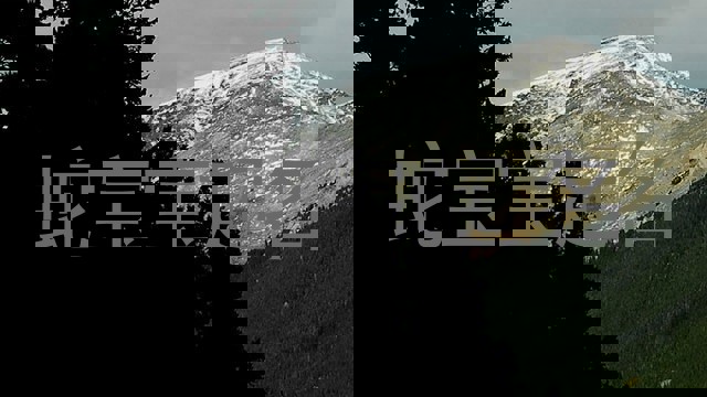 蛇宝宝起名