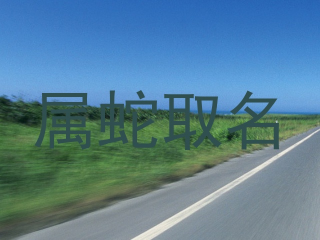 属蛇取名