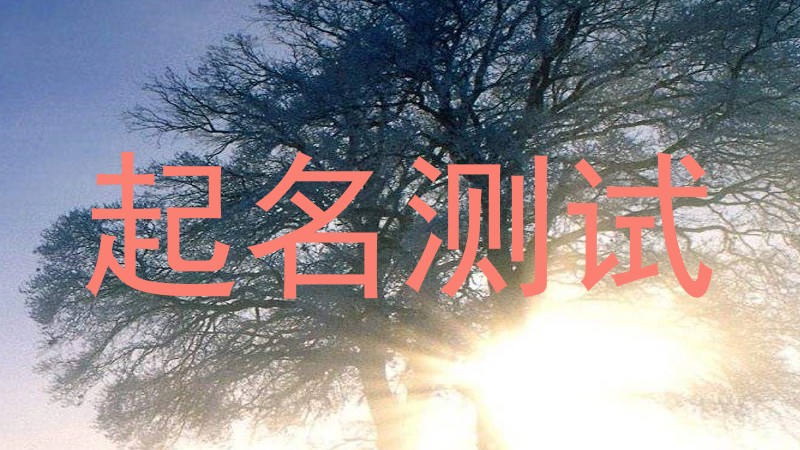 起名测试