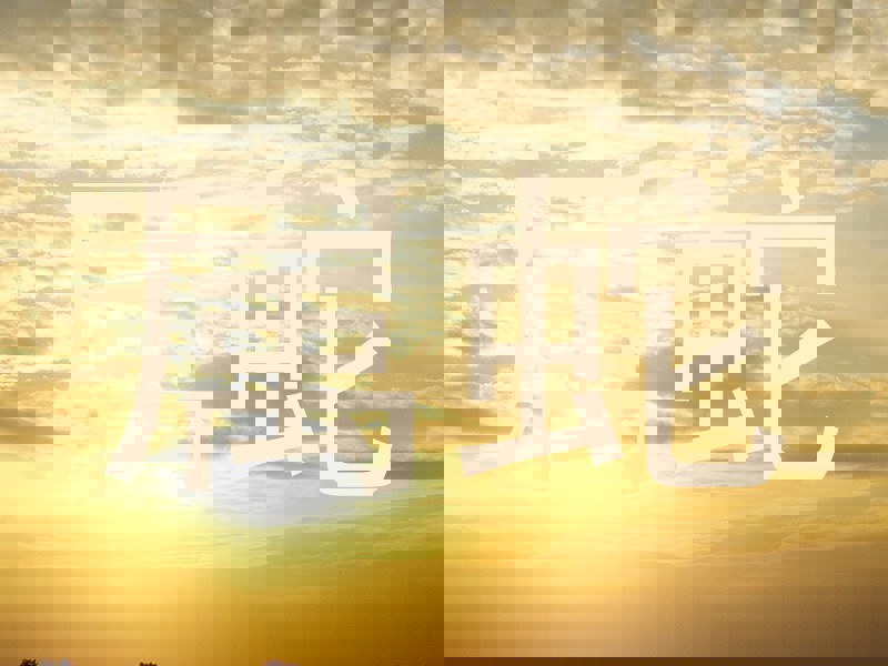 属蛇
