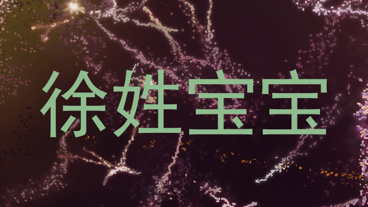 徐姓宝宝