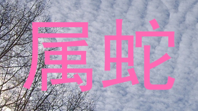 属蛇