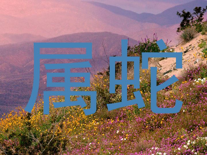 属蛇