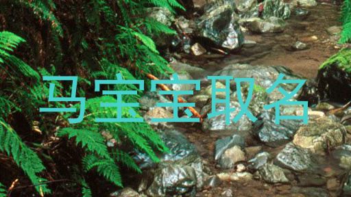 马宝宝取名