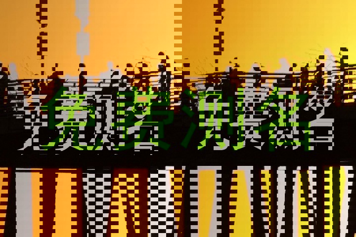 免费测名