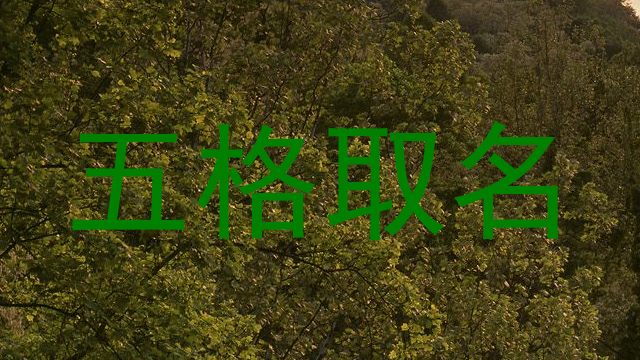 五格取名