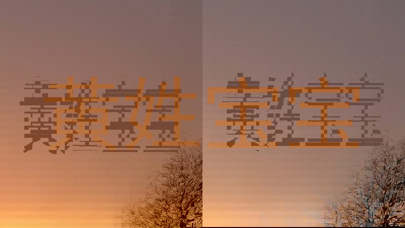 黄姓宝宝