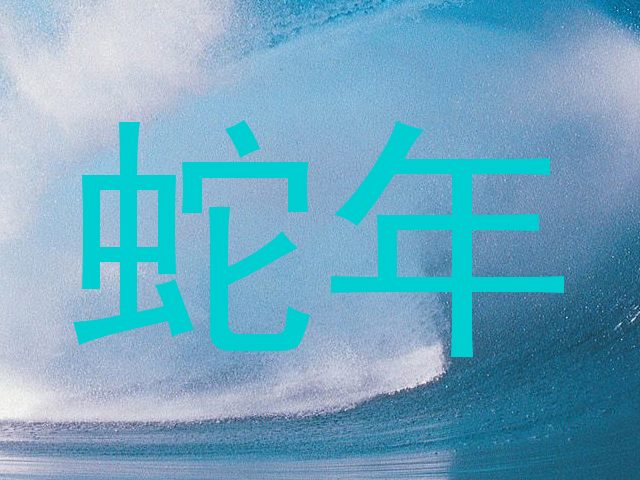 蛇年