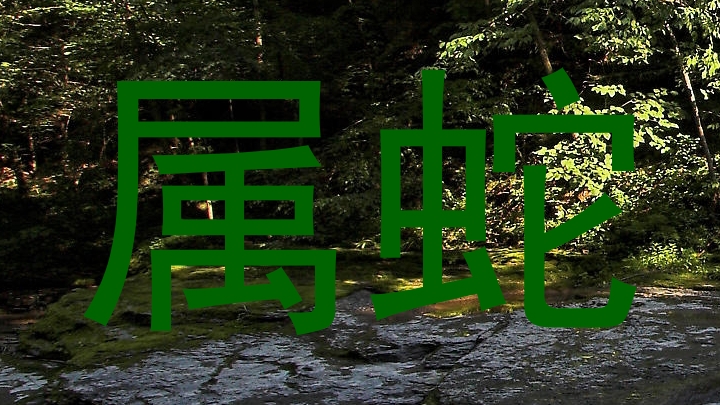 属蛇