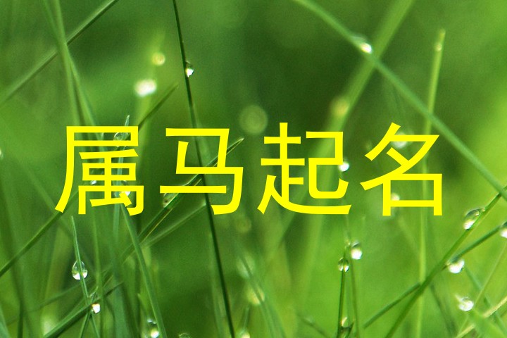 属马起名