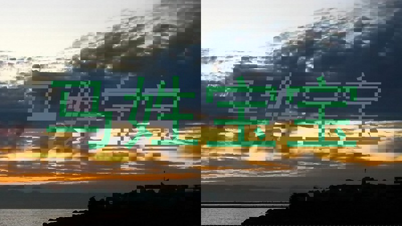马姓宝宝