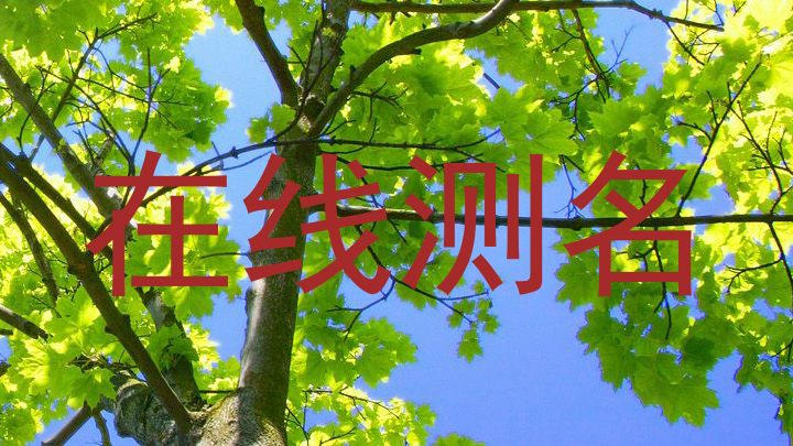 在线测名