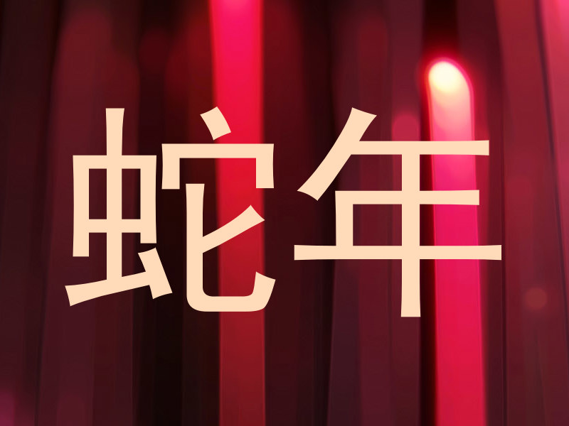 蛇年