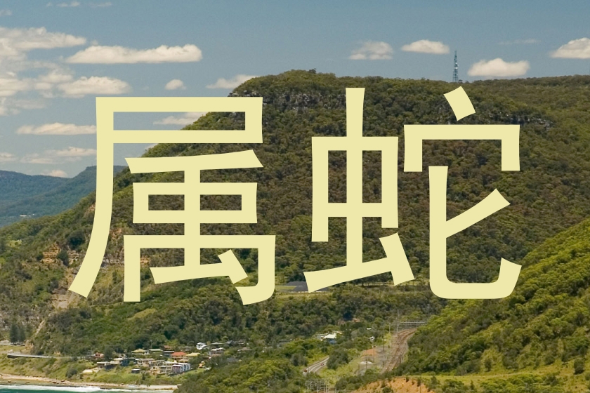 属蛇