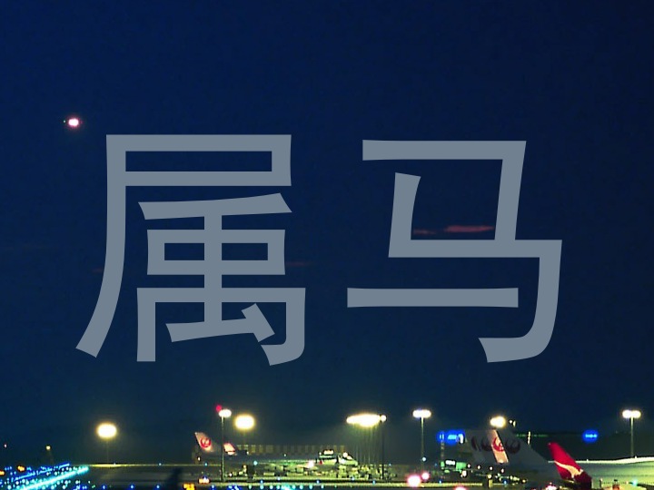 属马