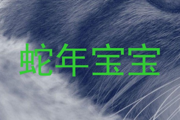 蛇年宝宝