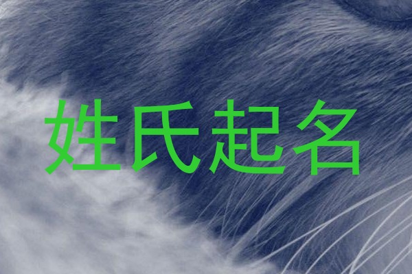 姓氏起名