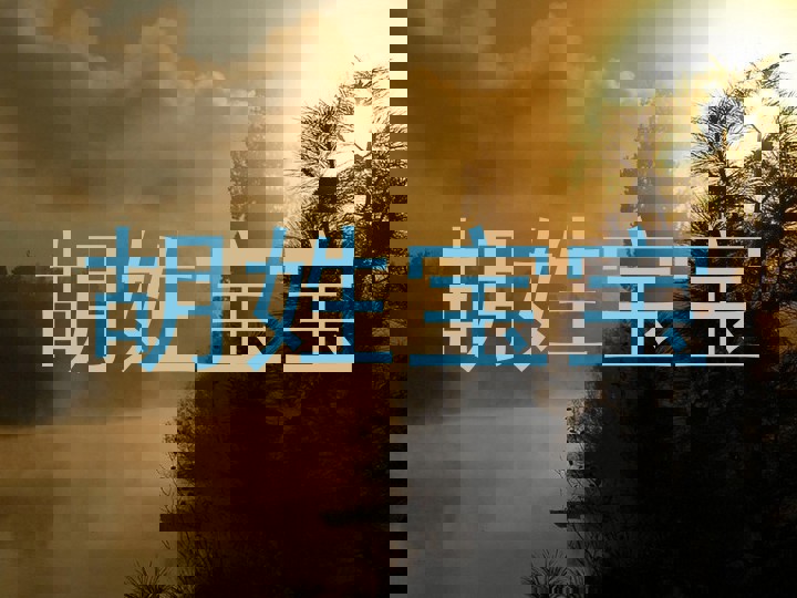 胡姓宝宝