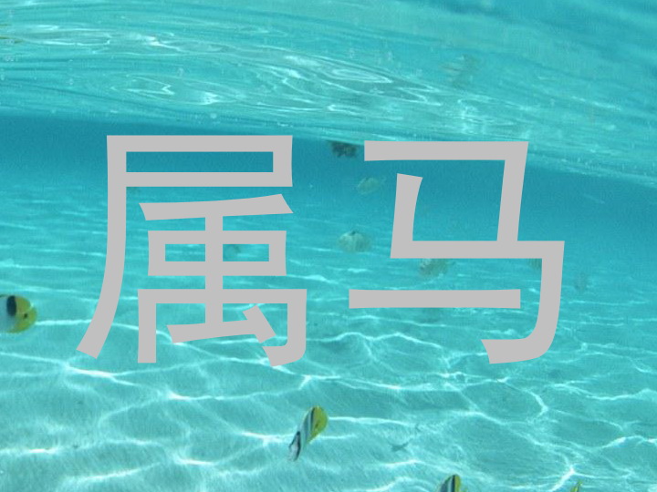 属马