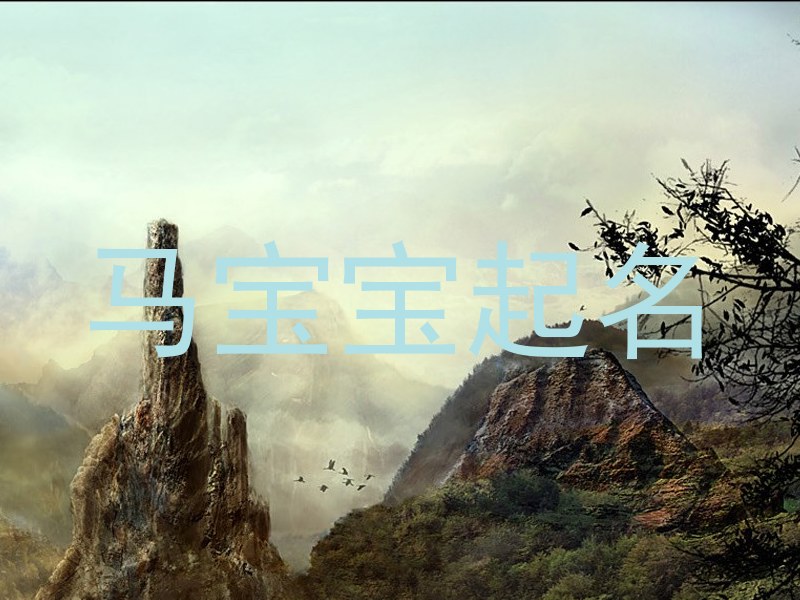 马宝宝起名