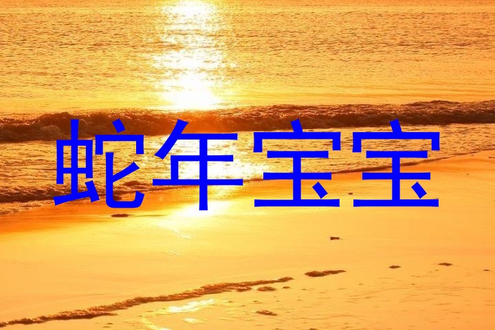 蛇年宝宝