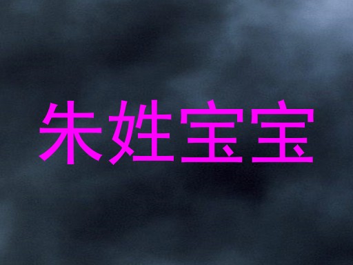 朱姓宝宝