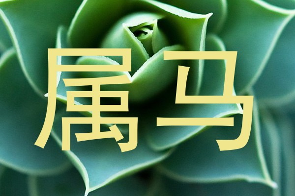 属马
