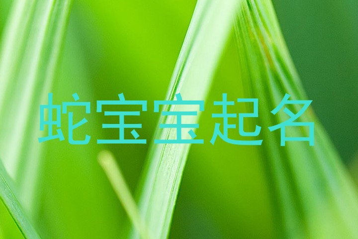 蛇宝宝起名